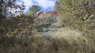 Land for sale in Torres Novas, Portugal — €4,510