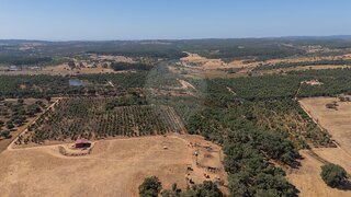 Land for sale in Santiago do Cacém, Portugal — €170,000