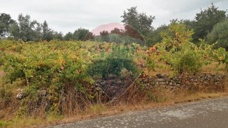 Land for sale in Pombal, Portugal — €6,500