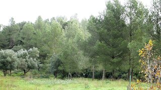 Terreno em Vila Franca de Xira