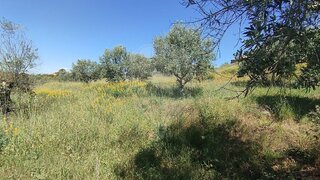 Land for sale in Abrantes, Portugal — €16,000