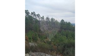 Terreno em Vila Nova de Paiva