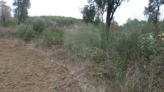 Terreno em Gavião