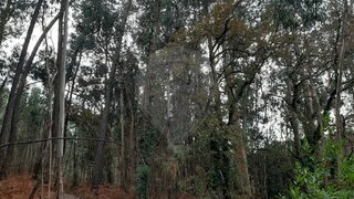 Land for sale in Pombal, Portugal — €7,500