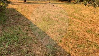 Land for sale in Paços de Ferreira, Portugal — €22,000