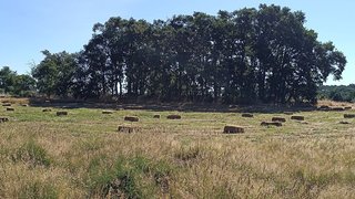 Land for sale in Penamacor, Portugal — €30,000