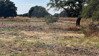Land for sale in Benavente, Portugal — €235,000