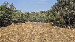 Land for sale in Pombal, Portugal — €35,000