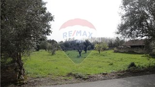 Land for sale in Cantanhede, Portugal — €23,750