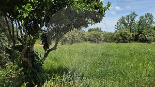 Land for sale in Torres Novas, Portugal — €8,500