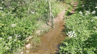 Land for sale in Silves, Portugal — €45,000