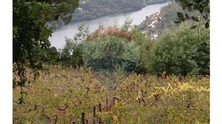 Land for sale in Baião, Portugal — €19,500