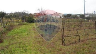 Land for sale in Penalva do Castelo, Portugal — €35,000