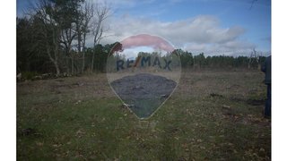 Land for sale in Guarda, Portugal — €14,000