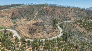 Land for sale in Celorico de Basto, Portugal — €39,900