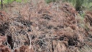 Terreno em Viseu