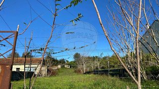 Terreno de 1240 m² em Coimbra