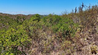 Land for sale in Odemira, Portugal — €44,000