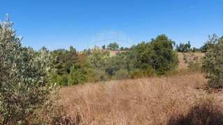 Land for sale in Abrantes, Portugal — €5,000