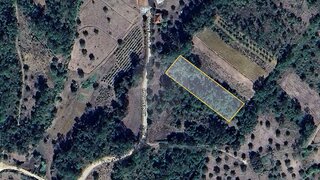 Terreno em Pombal