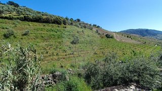 Land for sale in Carrazeda de Ansiães, Portugal — €25,000