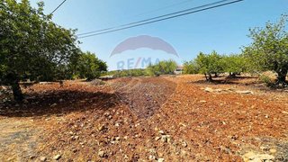 Terreno em Faro · 13 290 m² · 349 000 €