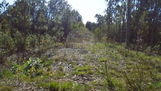 Land for sale in Vagos, Portugal — €9,000