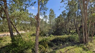 Land for sale in Ourém, Portugal — €105,000