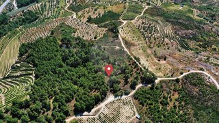 Land for sale in Alijó, Portugal — €10,000