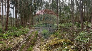 Land for sale in Penafiel, Portugal — €15,000