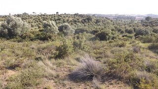 Terreno para venda em Torres Novas, Portugal — 27 000 €