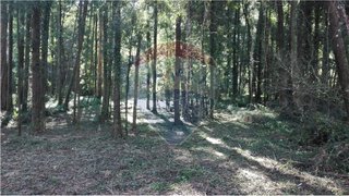 Terreno em Espinho