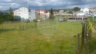 Land for sale in Anadia, Portugal — €74,900