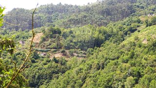 Terreno em Amarante