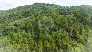 Land for sale in Amarante, Portugal — €20,500