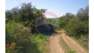 Terreno em Azambuja