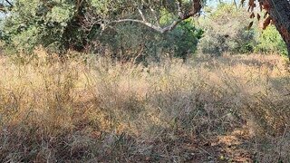 Land for sale in Alcoutim, Portugal — €6,000