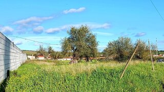 Land for sale in Reguengos de Monsaraz, Portugal — €110,000