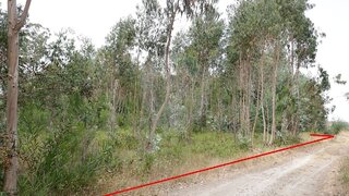 Terreno em Montemor-o-Velho