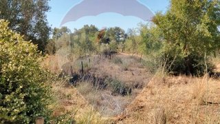 Land for sale in Silves, Portugal — €17,500