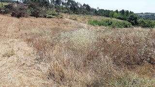Land for sale in Alcobaça, Portugal — €19,900