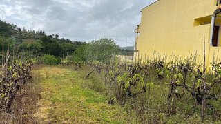 Land for sale in Coimbra, Portugal — €49,000