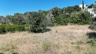 Land for sale in Loulé, Portugal — €50,000