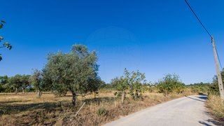 Terreno em Castelo Branco · 2750 m² · 14 000 €