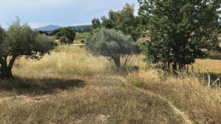 Land for sale in Penamacor, Portugal — €18,500
