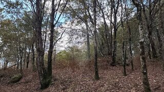 Land for sale in Celorico de Basto, Portugal — €35,000