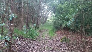 Land for sale in Oliveira do Bairro, Portugal — €3,500