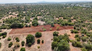 Land for sale in Tavira, Portugal — €25,000