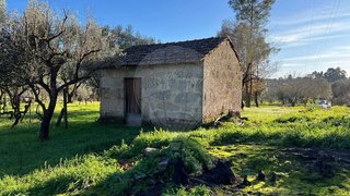 Land for sale in Nelas, Portugal — €25,000