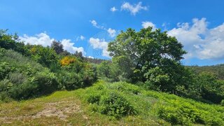 Land for sale in São Pedro do Sul, Portugal — €470,000